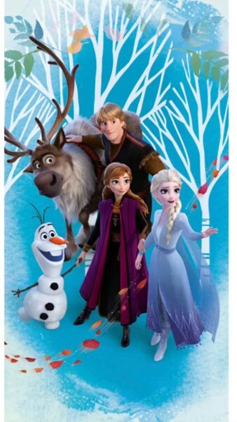 Disney Frozen Icebound dvielis