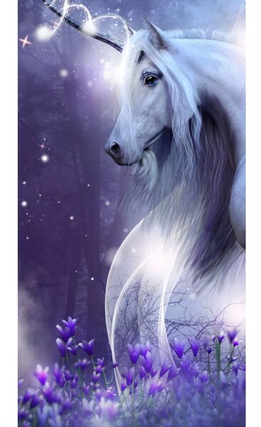 Unicorn Magic dvielis