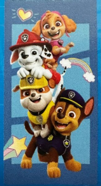 Paw Patrol Sun dvielis