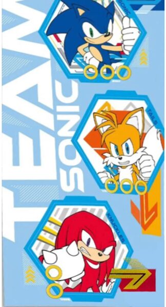 Sonic the hedgehog Team vannas/pludmales dvielis